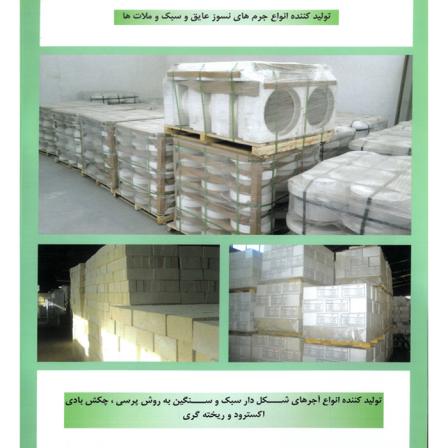 کارخانه های تولید کننده آجر دکوراتیو در اصفهان